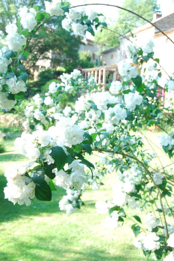 La Freiressa Bed & Breakfast Saint-Jean-des-Ollières Exterior photo